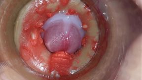 Camera Penetrates Deep Vaginal Cavity as Massive Sperm Load Erupts in 4K