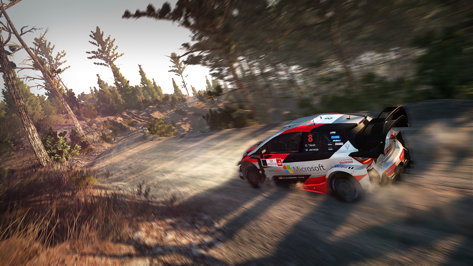 世界汽车拉力锦标赛8/WRC 8